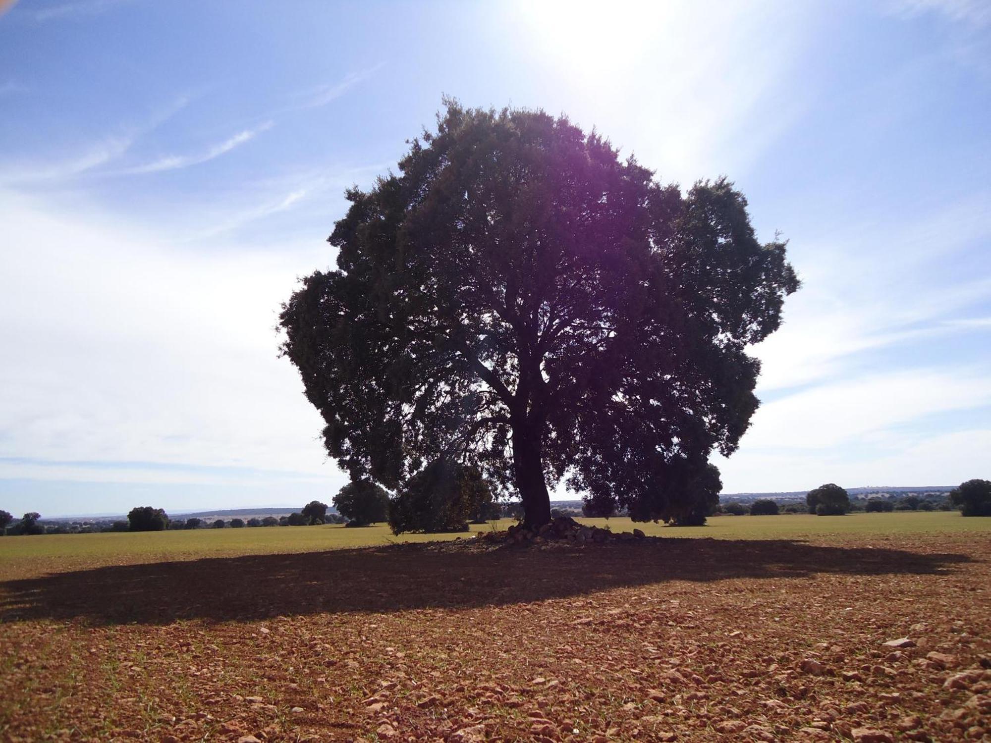 Villa Cerro Moreno Ossa de Montiel Luaran gambar